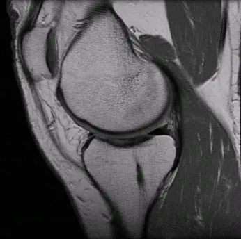 Screen-shot-2011-01-15-at-10.06.13-AM