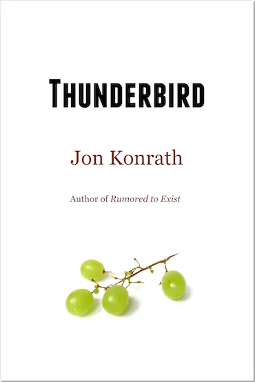 Thunderbird cover
